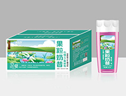 发财雨果粒奶昔石榴VS蔓越莓果汁360ml*15